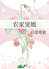 农家宠媳