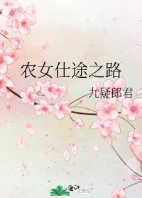 《农女仕途之路》
