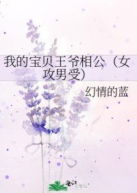 《我的宝贝王爷相公(女攻男受)》