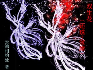 《双生花(还珠+金庸)》