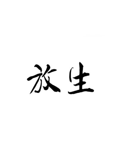 放生