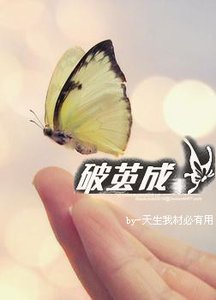 《破茧成蝶》