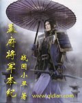 《幕府将军本纪》
