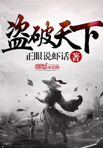 《盗破天下》