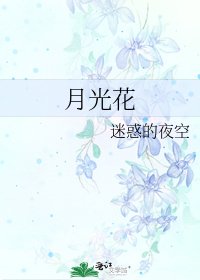 《月光花》