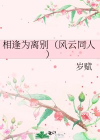 《相逢为离别(风云同人)》