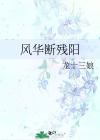 《风华断残阳》