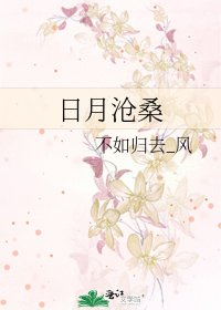 《日月沧桑》