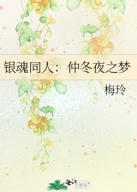 《银魂同人:仲冬夜之梦》