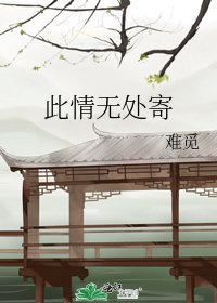 此情无处寄