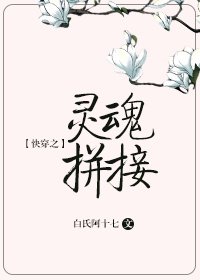 《快穿之灵魂拼接》