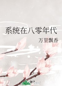 《系统在八零年代》