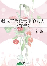 《我成了反派大佬的女人(穿书)》