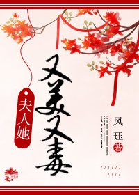 《夫人她又美又毒》
