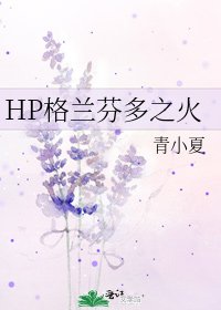 《HP格兰芬多之火》