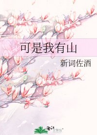 《可是我有山》