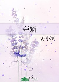 夺嫡