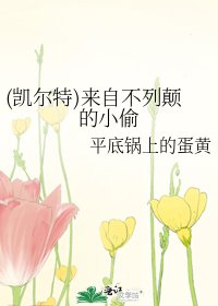 《(凯尔特)来自不列颠的小偷》