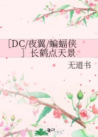 ［DC/夜翼/蝙蝠侠］长鹤点天景