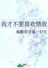 《我才不要喜欢情敌》