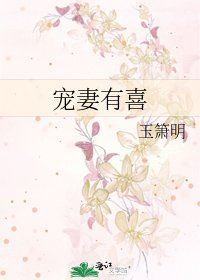 宠妻有喜
