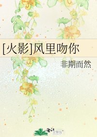 [火影]风里吻你