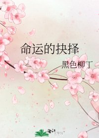 《命运的抉择》