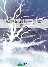 盗墓笔记后传－张家守陵人