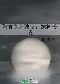 陈情令之魏家有妹初长成