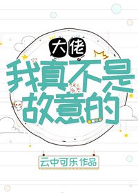 《大佬,我真不是故意的》