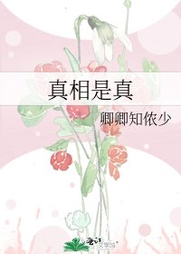 真相是真