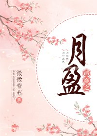 《清穿之月盈》