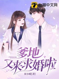 《爹地又来求婚啦》