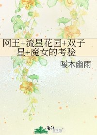 《网王+流星花园+双子星+魔女的考验》