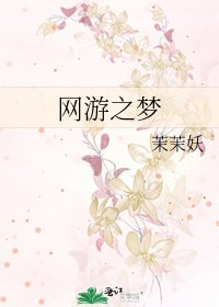 网游之梦