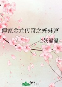 傅家金龙传奇之姊妹宫
