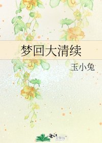 《梦回大清续》