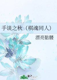 《手谈之秋(棋魂同人)》