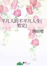 平凡人的不平凡人生(暂定)