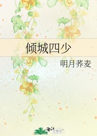《倾城四少》