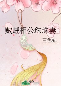 贼贼相公珠珠妻