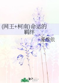 《(网王+柯南)命运的羁绊》