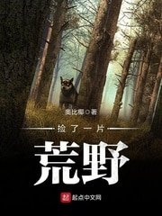 《捡了一片荒野》