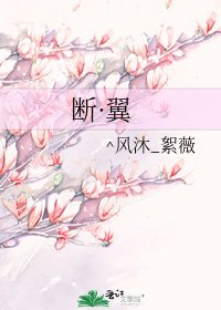 《断·翼》