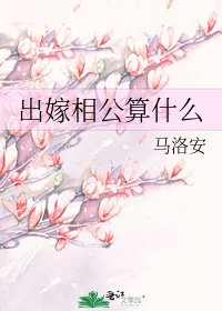 《出嫁相公算什么》