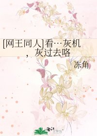 [网王同人]看…灰机，灰过去咯