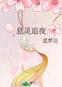 《息灵追夜》