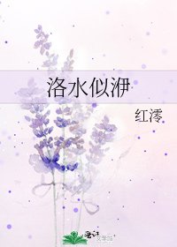 《洛水似洢》