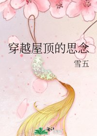 《穿越屋顶的思念》