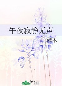 《午夜寂静无声》